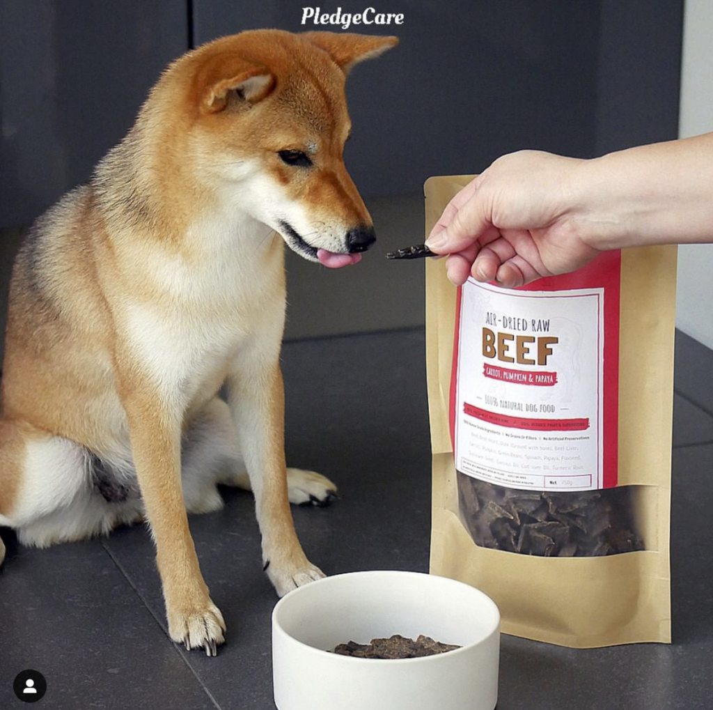 Beef Recipe for Dogs PledgeCare